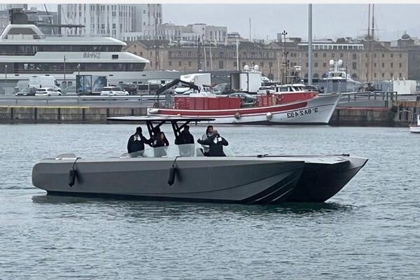 Marcelo Penna e-VORK 43 Image 2